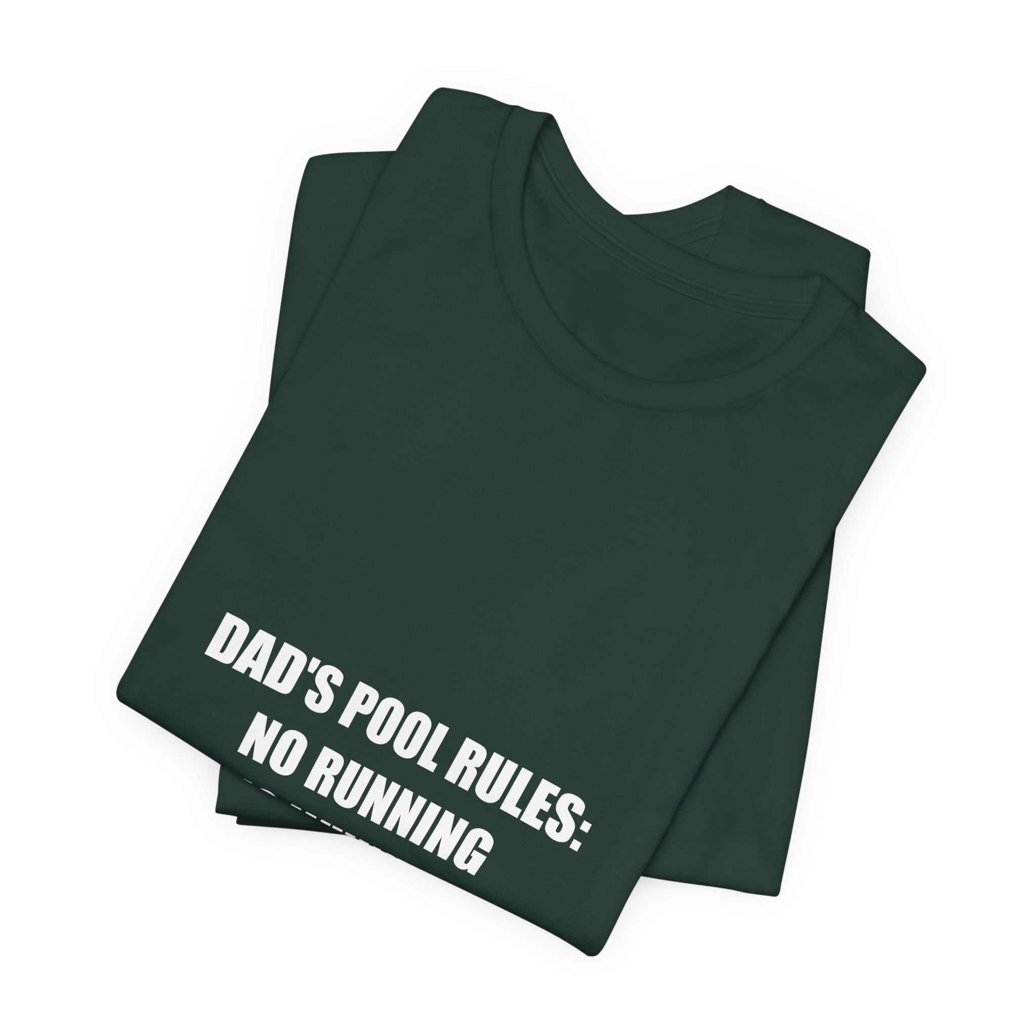 Dad's Pool Rules Shirt - Funny Pool Dad Tee, Summer Father's Day Gift, Premium Bella Canvas